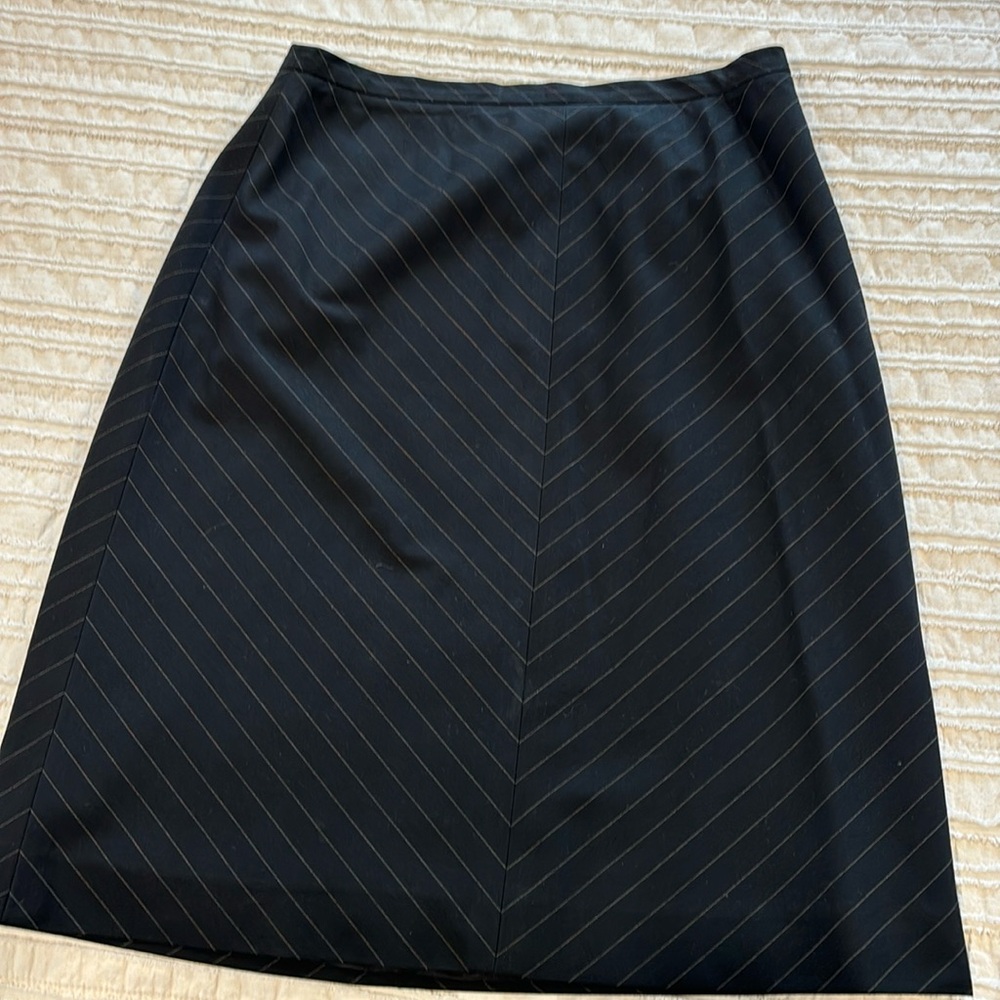Ann Taylor skirt